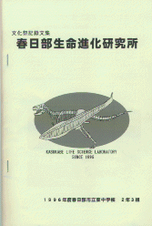 �\���C���[�W