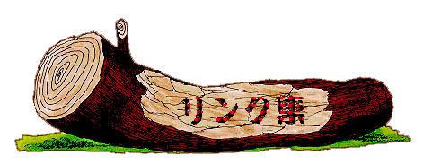 �����N�W